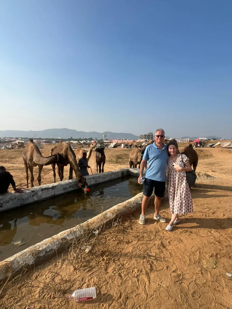 Visitors observe camels at the Pushkar Camel Fair