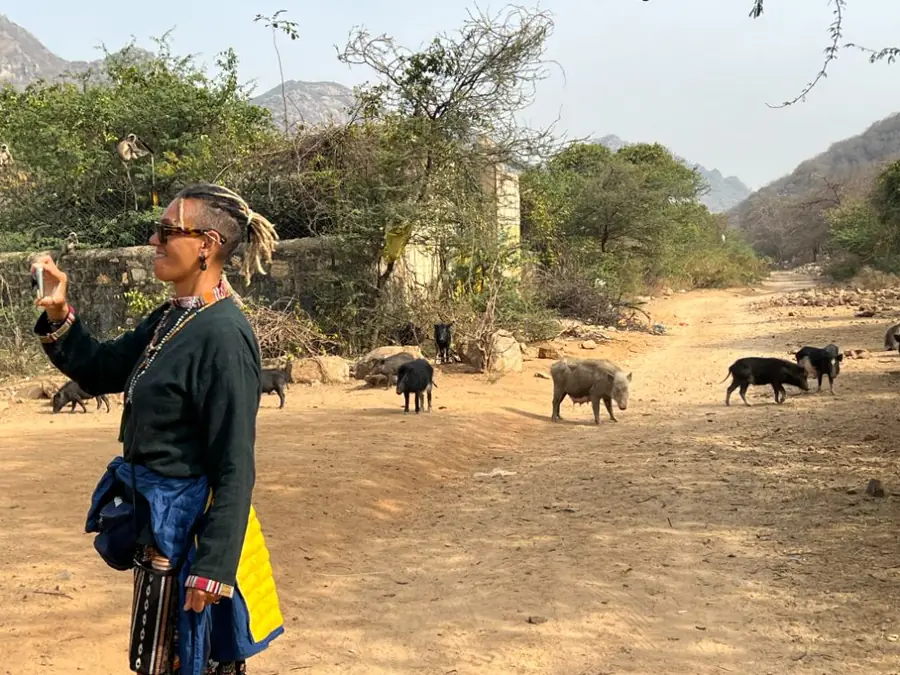 A visitor encounters livestock in a village near Pushkar