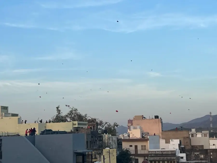 Kites cross the blue sky above Pushkar's rooftops