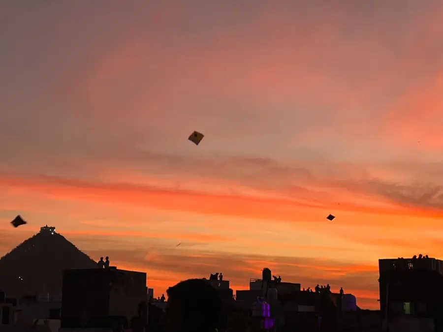 Kites silhouetted against a warm sunset over Pushkar