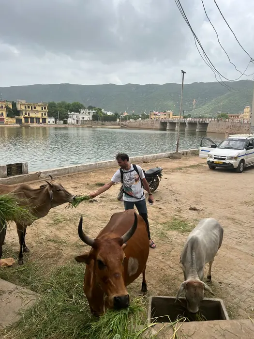 A visitor walks beside Pushkar Lake and its ghats