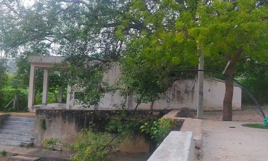 A historic water structure among trees at a Pushkar pilgrimage site