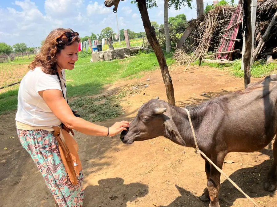A resident with a buffalo in a village near Pushkar